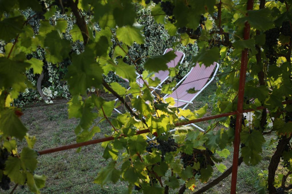 普利拉卡Kucica Ljubcek别墅 客房 照片